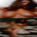 Housewives show