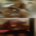 Horny girls seeking white